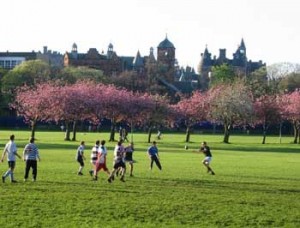 Rugby in the Meadows