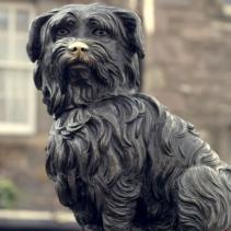 Cimitero di Greyfriars: il giardino delle anime