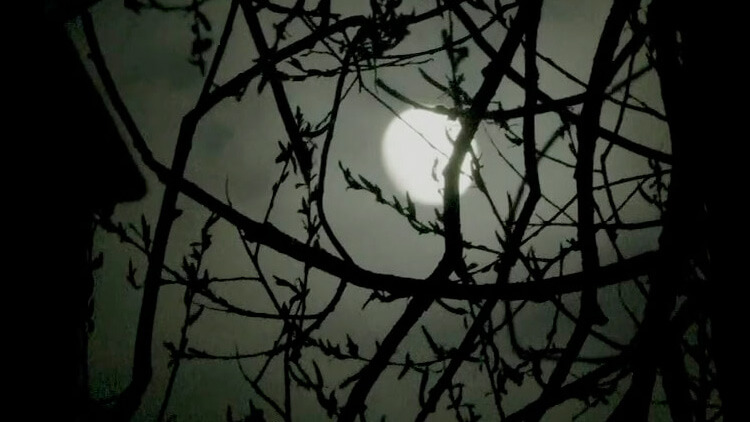 Luna piena a Edimburgo da un cimitero