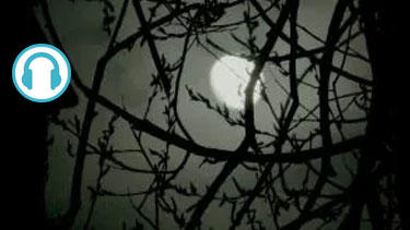 Tour dei fantasmi di Edimburgo, mistero e stregoneria – Audioguida