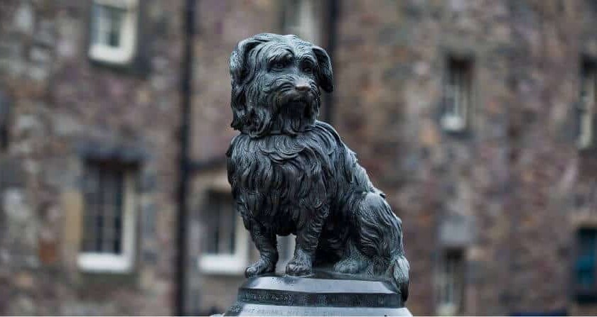 Statua di Greyfriars Bobby situata ad Edimburgo, in Scozia.