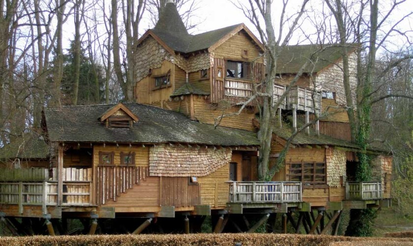 Casa sull'albero vicino al Castello di Alnwick