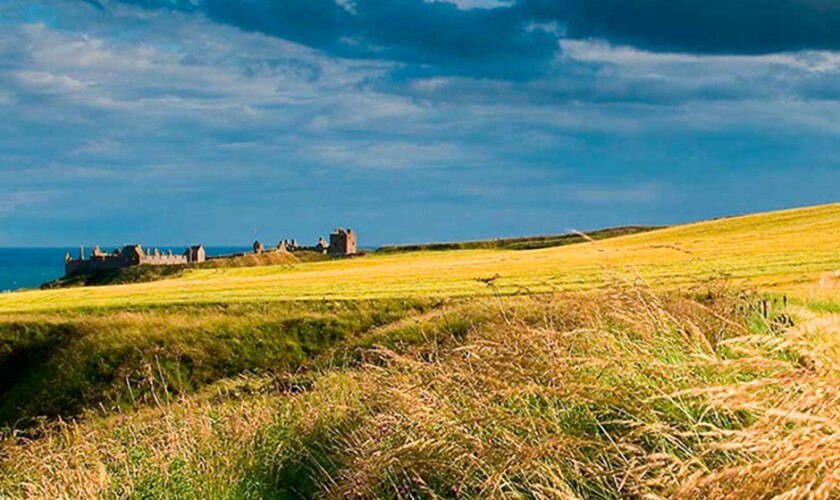Castello di Dunnottar dal prato