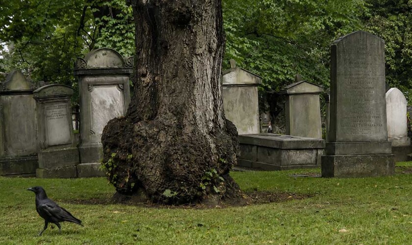 Free tour dei fantasmi misteri e streghe di Edimburgo