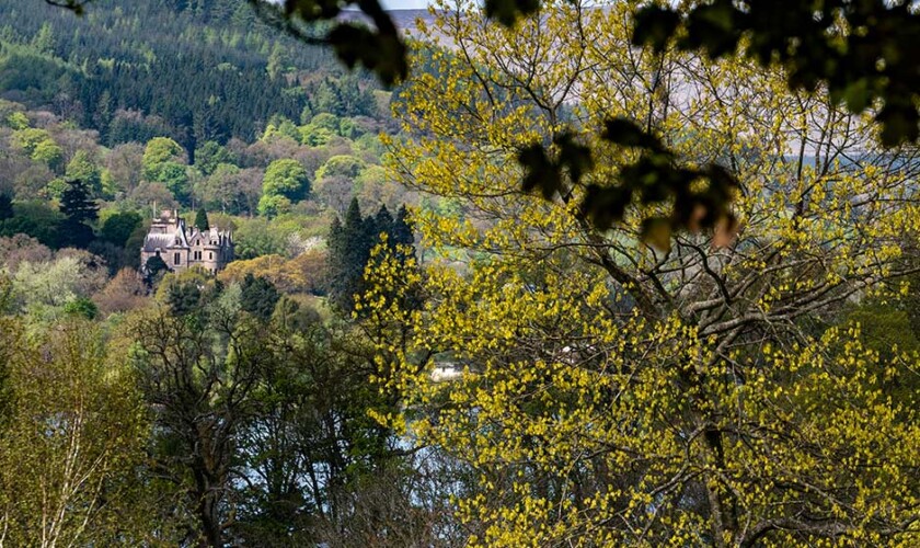 Tour panoramico del Parco Nazionale